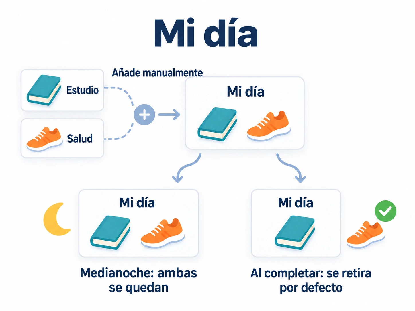 Añade lectura y paseo manualmente a Mi día sin moverlos de Estudio y Salud. Completar el periodo actual retira las tareas de forma predeterminada; la medianoche no vacía la lista.